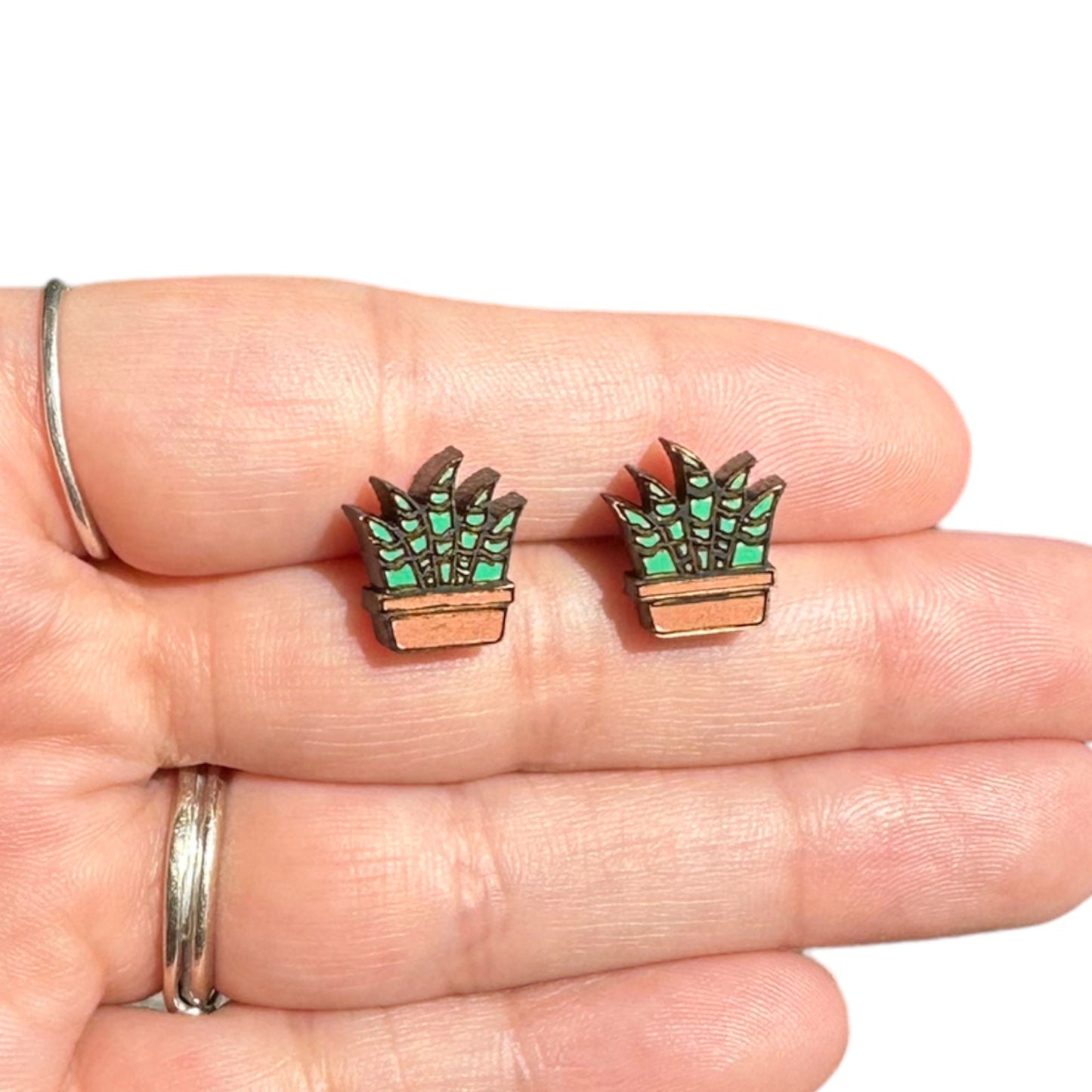 Hypoallergenic Hand Painted Snake Plant Laser Engraved Wood Stud Earrings